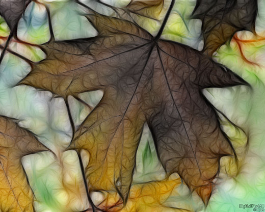 18635 (a): :1280x1024